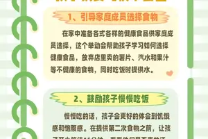  如何在训练期间保持良好的饮食习惯：科学与实践的完美结合